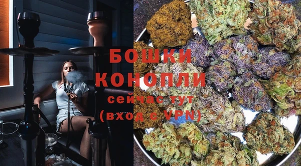 дживик Баксан
